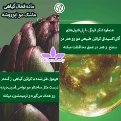 ماده-فعال-گیاهی-ماسک-مو-ایوروشه