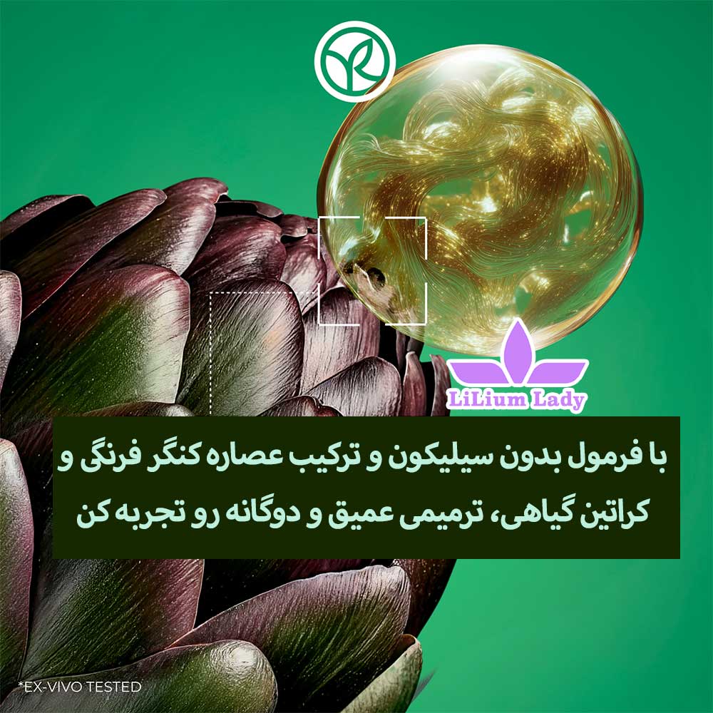 ماسک-کنگر-فرنگی-ایوروشه