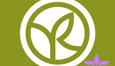 لوگو ایوروشه