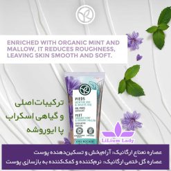 ترکیبات-اصلی--و-گیاهی-اسکراب-پا-ایوروشه