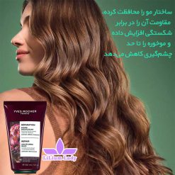 بالم-مو-دیسیپلین-ایوروشه