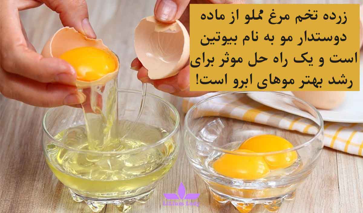 زرده تخم مرغ برای ابرو