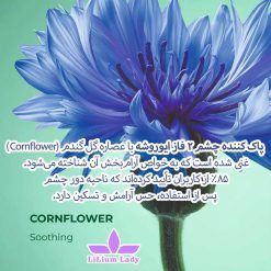 پاک-کننده-چشم-۲-فاز-ایوروشه