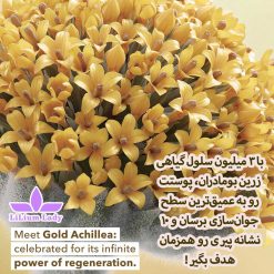 سرم-جوانساز-بومادران-ایوروشه