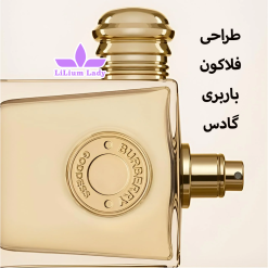 طراحی-فلاکون-باربری-گادس