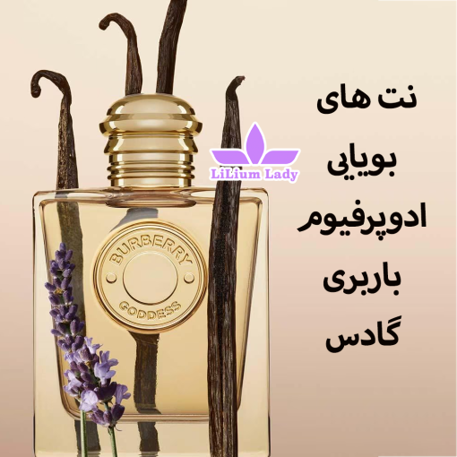 نت-های--بویایی-ادوپرفیوم-باربری-گادس