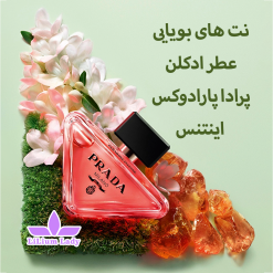 نت-های-بویایی-عطر-ادکلن-پرادا-پارادوکس--اینتنس