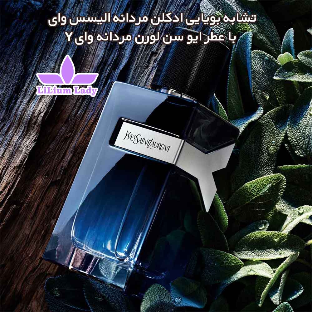 تشابه-بویایی-ادکلن-مردانه-الیسس-وای--با-عطر-ایو-سن-لورن-مردانه-وای-Y